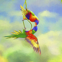Buy canvas prints of Two squabbling rainbow lorikeets in china doll tree by Sheila Smart