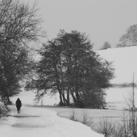 Buy canvas prints of Solitary Winter Walk by Liz Watson