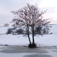 Buy canvas prints of Snowy Canalside Landscape by Liz Watson