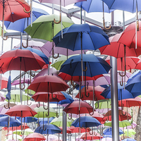 Buy canvas prints of Its Raining... Umbrellas! by LensLight Traveler