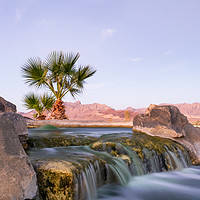 Buy canvas prints of Oasis In The Nevada Desert by LensLight Traveler