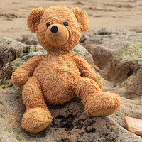 Buy canvas prints of Teddy On The Beach by LensLight Traveler