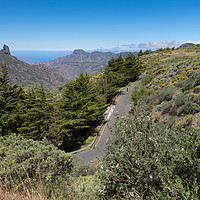 Buy canvas prints of Winding Road In The Canary Islands by LensLight Traveler