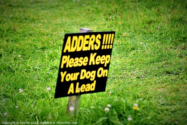 Warning For Adders Picture Board by Lisa PB