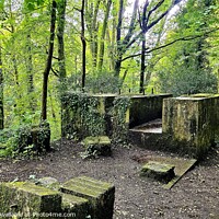 Buy canvas prints of Forest Ruins by Lisa PB
