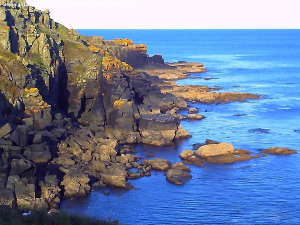 Rocky View at Lizard Point Picture Board by Lisa PB