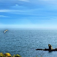 Buy canvas prints of Peaceful at The Lizard, Cornwall by Lisa PB
