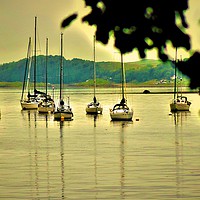 Buy canvas prints of Boat Reflections by Lisa PB