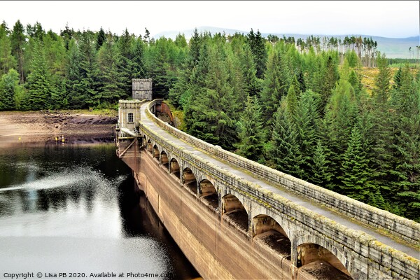 Laggan Dam Picture Board by Lisa PB