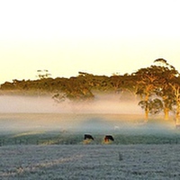 Buy canvas prints of Bowral, NSW Australia, Sun Rise by phil wood