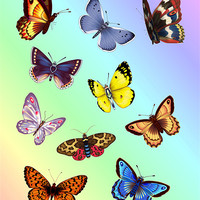 Buy canvas prints of Bright Butterflies by Lidiya Drabchuk