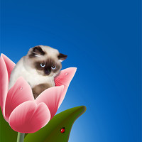 Buy canvas prints of Cat In Tulip by Lidiya Drabchuk