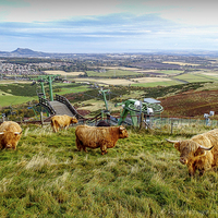 Buy canvas prints of  Coos with a view by Paul Masterton