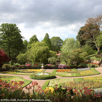 Buy canvas prints of Shrewsbury Town Park by Diane Griffiths