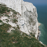 Buy canvas prints of The White Cliffs of Dover by Diane Griffiths
