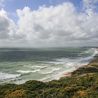 Buy canvas prints of Bournemouth Bay from Hengistbury Head, Dorset by Diane Griffiths