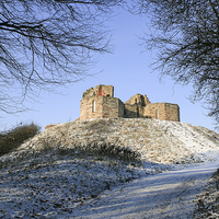 Buy canvas prints of Stafford Castle in snow by Diane Griffiths