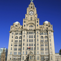Buy canvas prints of  The Liver Building by Diane Griffiths