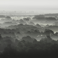 Buy canvas prints of  Misty Kent by Diane Griffiths
