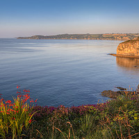Buy canvas prints of Carlyon Bay by Diane Griffiths