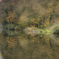 Buy canvas prints of The Stafford and Worcestershire canal Penkridge by Diane Griffiths