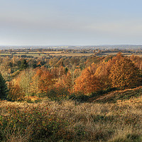 Buy canvas prints of Cannock Chase Vista in the Autumn by Diane Griffiths
