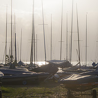 Buy canvas prints of Whitstable Sailing Boats by Diane Griffiths