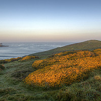 Buy canvas prints of Pentire Headland Sunrise by Diane Griffiths