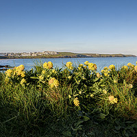 Buy canvas prints of Fistral beach from outside the Headland Hotel by Diane Griffiths
