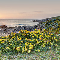 Buy canvas prints of Towan Headland and Little Fistral by Diane Griffiths