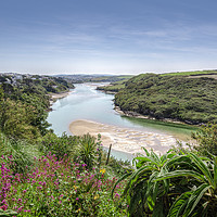 Buy canvas prints of View over The Gannel by Diane Griffiths