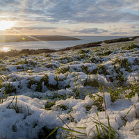 Buy canvas prints of Crantock under Snow by Diane Griffiths