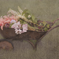 Buy canvas prints of Floral Barrow by Gaynor Duthie