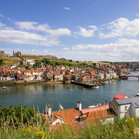 Buy canvas prints of Whitby Harbour Summer by Peter Jordan