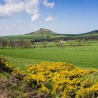 Buy canvas prints of Roseberry Topping Spring by Peter Jordan
