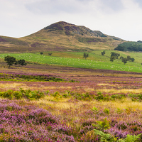 Buy canvas prints of  Hawnby Hill Yorkshire by Peter Jordan