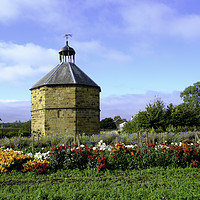 Buy canvas prints of The old dovecot at the 14th century  Augustinian p by Peter Jordan