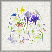 Buy canvas prints of Medley of springtime by Robert Murray