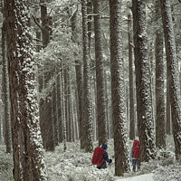 Buy canvas prints of Winter Backpackers by Robert Murray
