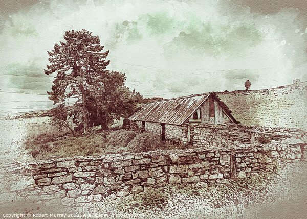 Abandoned Croft's Ruined Barn Picture Board by Robert Murray
