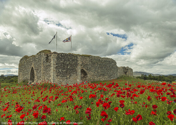 Castle Roy with Poppies Picture Board by Robert Murray
