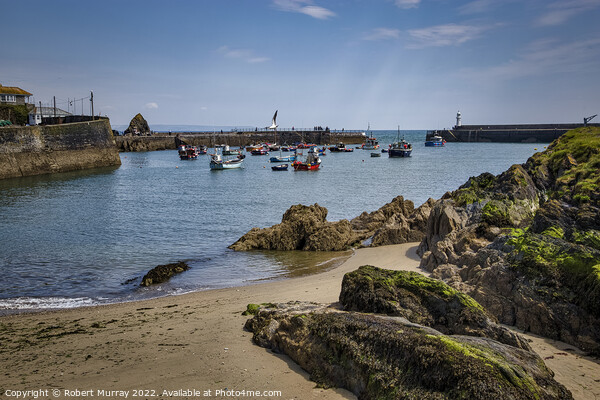 Mevagissey Harbour, Cornwall. Picture Board by Robert Murray