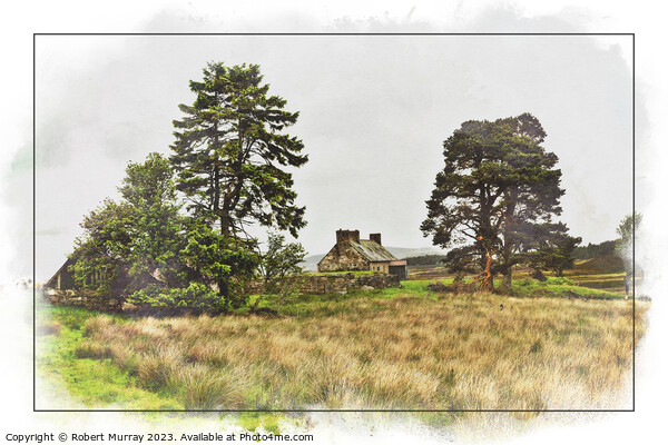 The Haunting Beauty of a Deserted Highland Croft Picture Board by Robert Murray