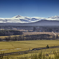 Buy canvas prints of Abernethy and the Cairngorm Mountains by Robert Murray