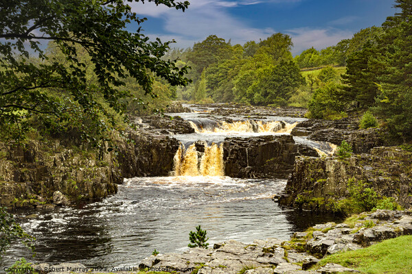 Low Force Waterfall, Teesdale. Picture Board by Robert Murray