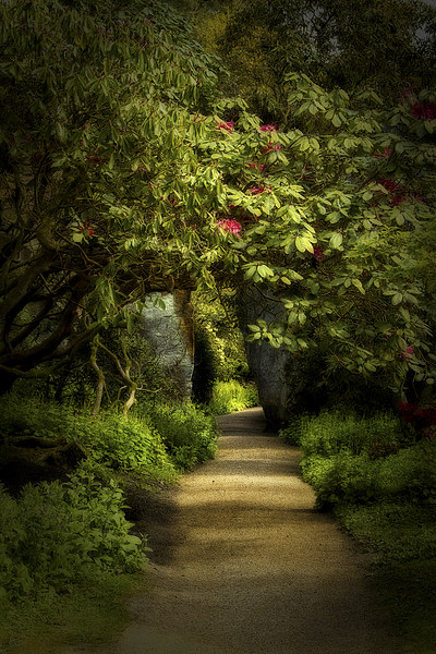 Enchanted Garden Path Picture Board by Robert Murray