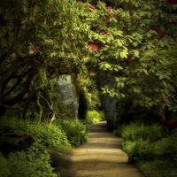 Buy canvas prints of Enchanted Garden Path by Robert Murray