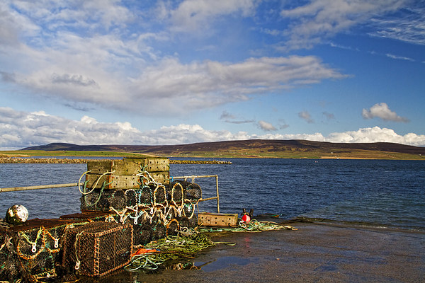 Lobster creels in Orkney Picture Board by Robert Murray