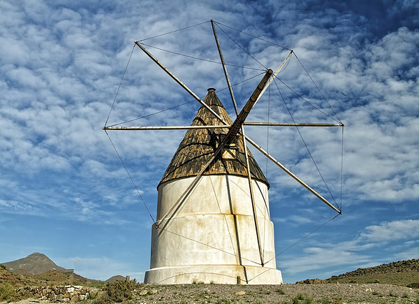 Spanish windmill Picture Board by Robert Murray