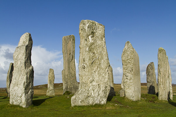 Mystical Megaliths of Callanish Picture Board by Robert Murray